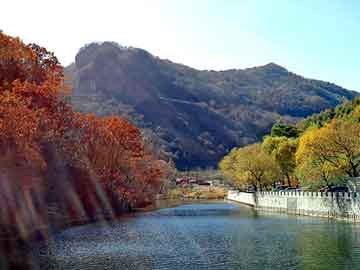 正版澳门天天开彩大全，广州家居饰品批发